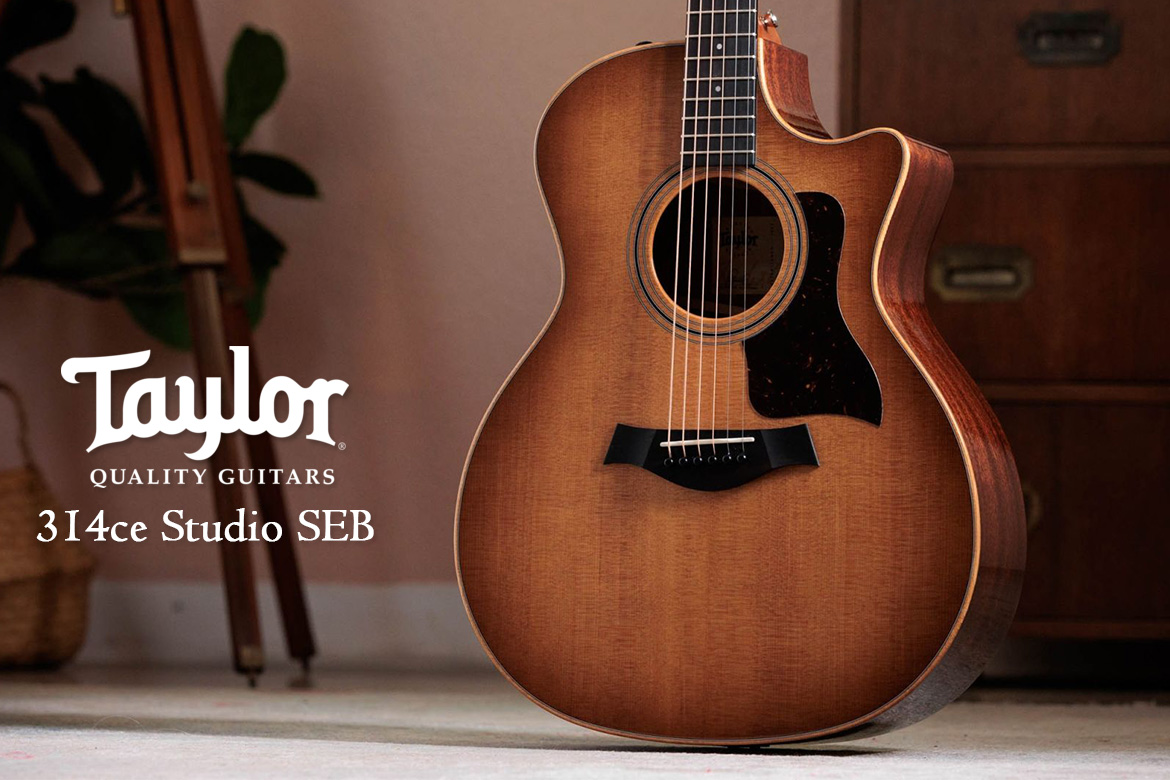 Read more about the article 打開音樂的魔法之門：Taylor 314ce Studio SEB 吉他介紹