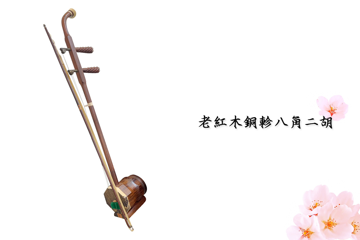 Read more about the article 傳統工藝之美—老紅木銅軫八角二胡的魅力