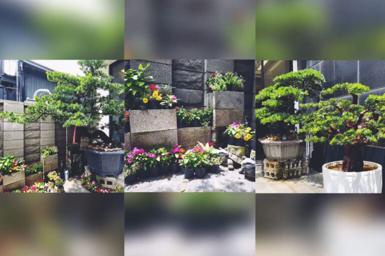 補給站樂器連鎖 柏克里音樂教室 美麗的環境~