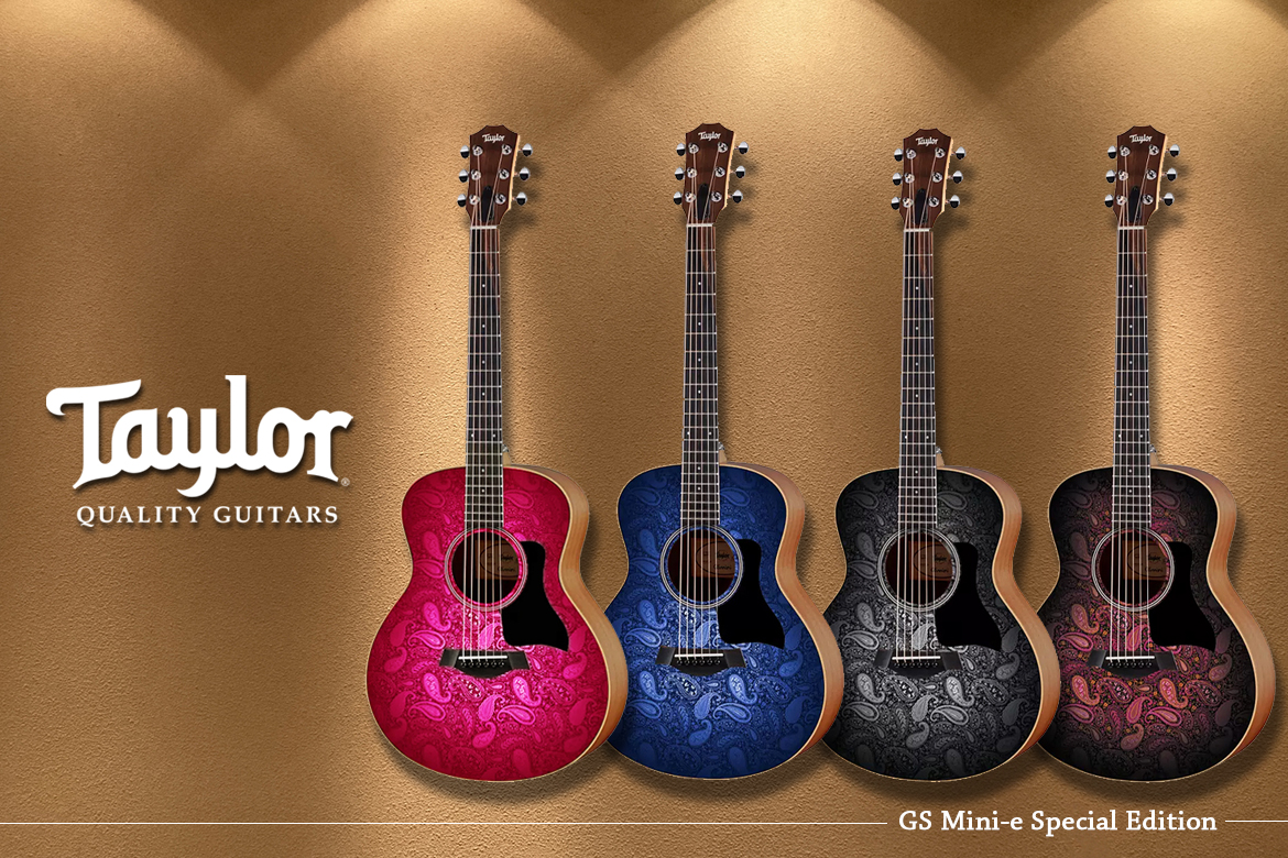 Read more about the article Taylor GS Mini-e Special Edition