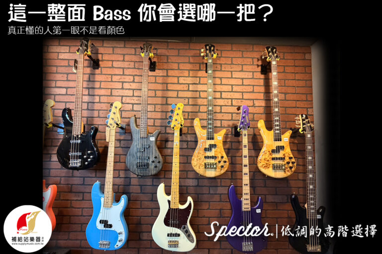 在這一整面 Bass 裡🎸你會選哪一把？